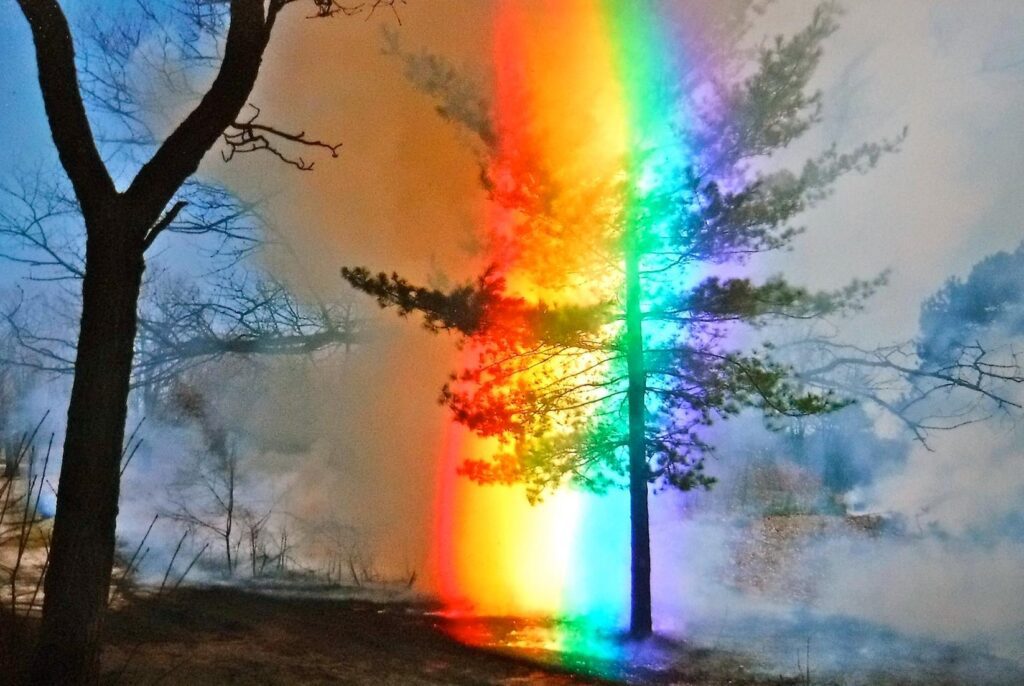 A rainbow is seen in the sky over a tree.